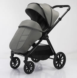2-in-1 High-View Stroller D1