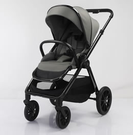 2-in-1 High-View Stroller D1