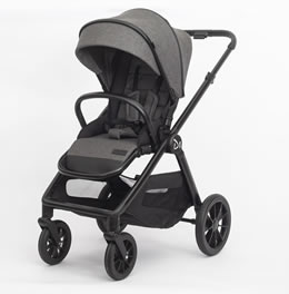 2-in-1 High-View Stroller D1