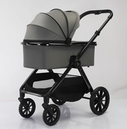 2-in-1 High-View Stroller D1