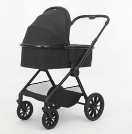 2-in-1 High-View Stroller Z1